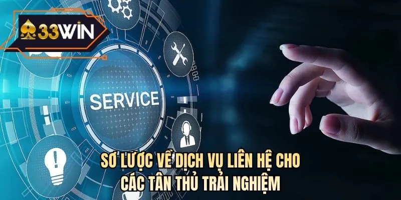 Sơ lược về dịch vụ liên hệ cho các tân thủ trải nghiệm